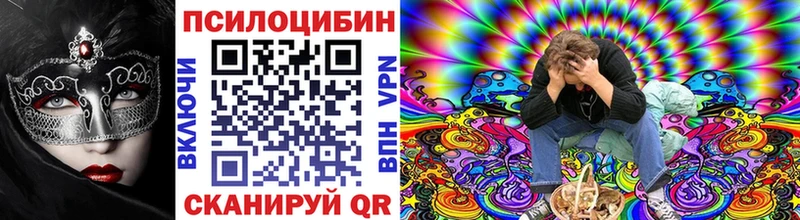 что такое   Певек  Псилоцибиновые грибы Psilocybe 